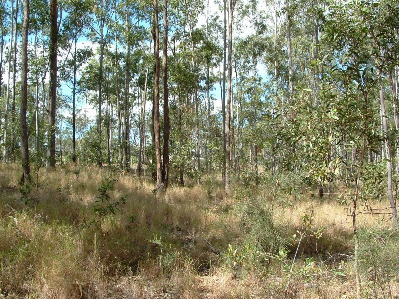 Bauple QLD 4650