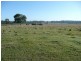Theebine QLD 4570