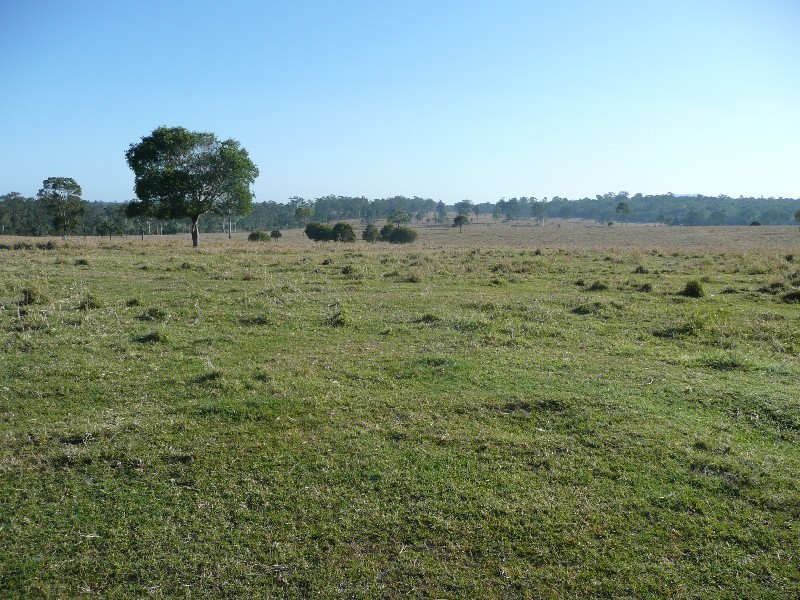 Theebine QLD 4570