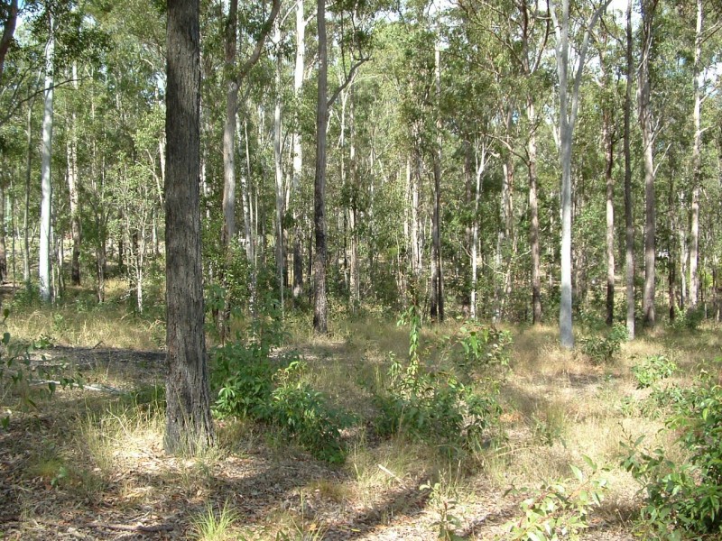 Bauple QLD 4650
