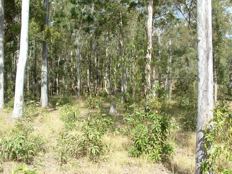Bauple QLD 4650