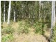 Bauple QLD 4650