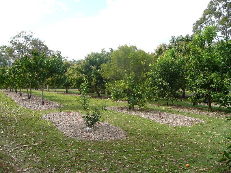 Yerra QLD 4650