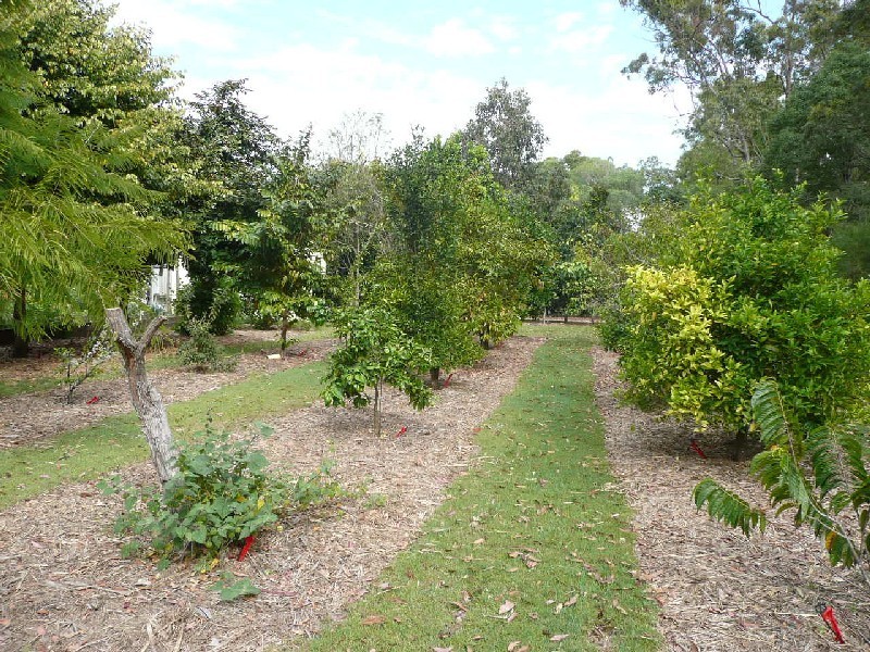 Yerra QLD 4650