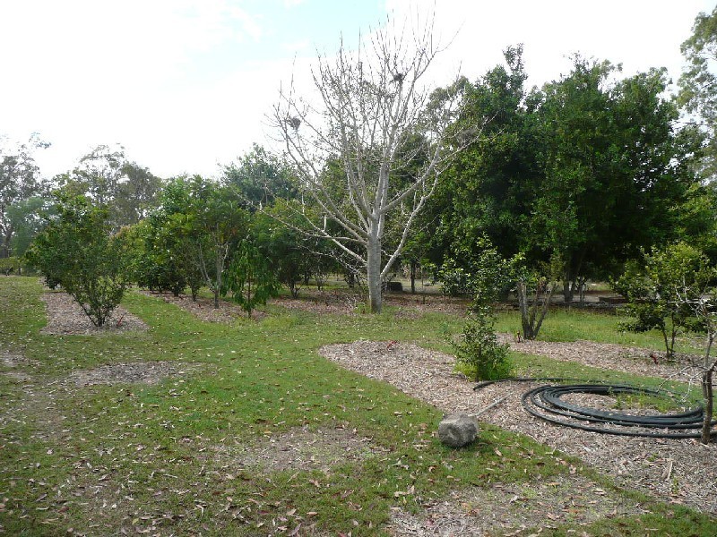 Yerra QLD 4650