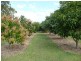 Yerra QLD 4650
