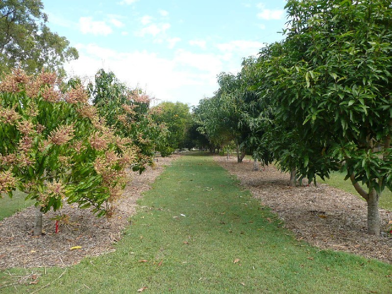 Yerra QLD 4650
