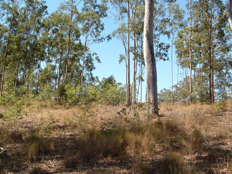 Bauple QLD 4650