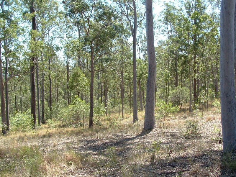 Bauple QLD 4650