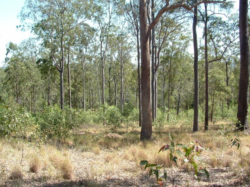 Bauple QLD 4650