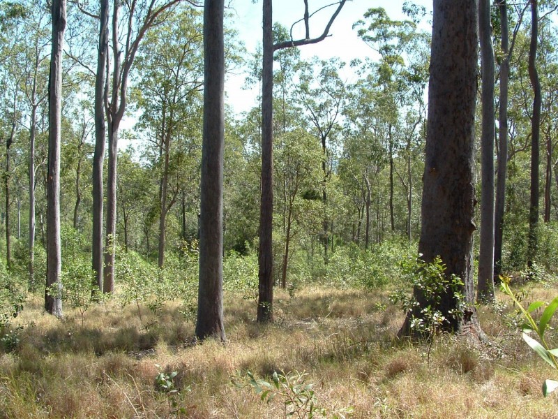 Bauple QLD 4650