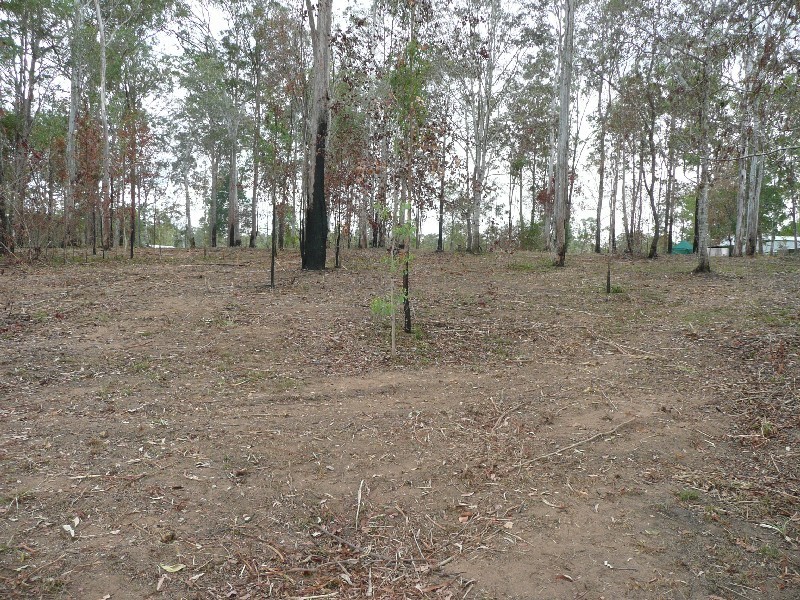 Bauple QLD 4650