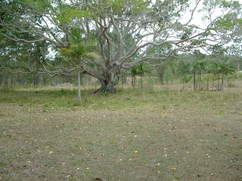 Bauple QLD 4650