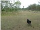 Bauple QLD 4650