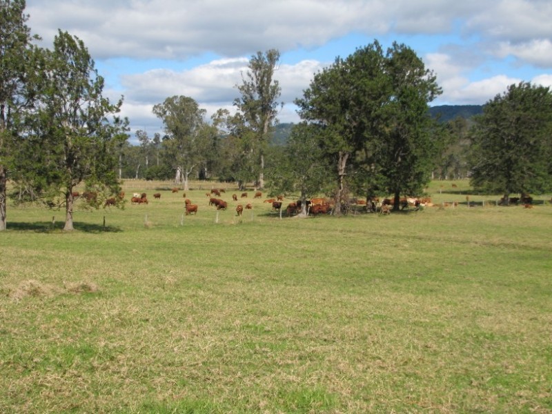 Neusa Vale QLD 4570