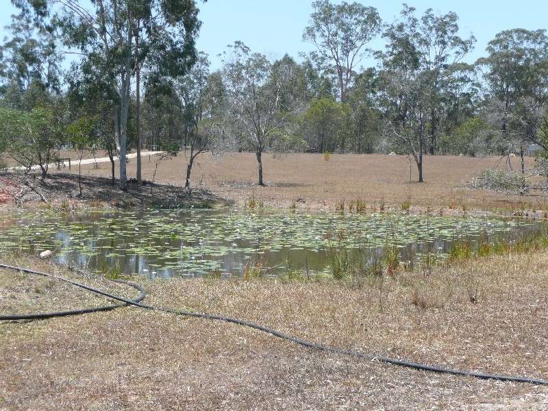 Paterson QLD 4570