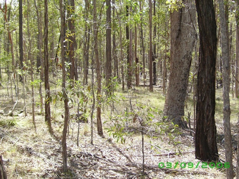 Bauple QLD 4650