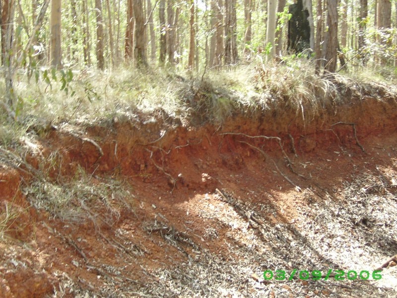 Bauple QLD 4650