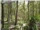 Bauple QLD 4650