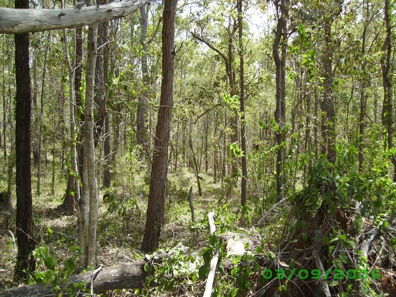 Bauple QLD 4650