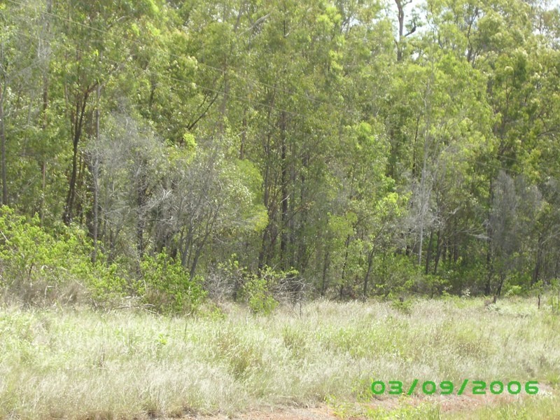 Bauple QLD 4650