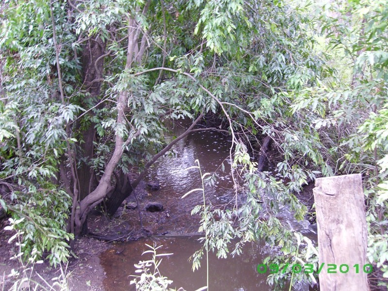 Grahams Creek QLD 4650