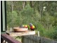 Tiaro QLD 4650