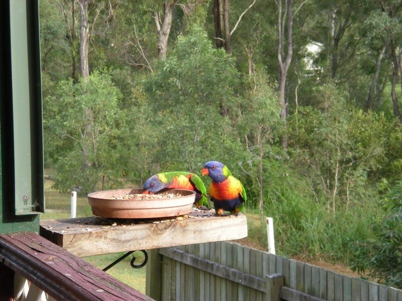 Tiaro QLD 4650