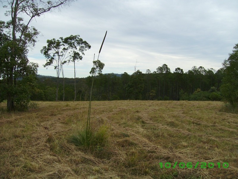 Glenwood QLD 4570