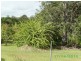 Bauple QLD 4650