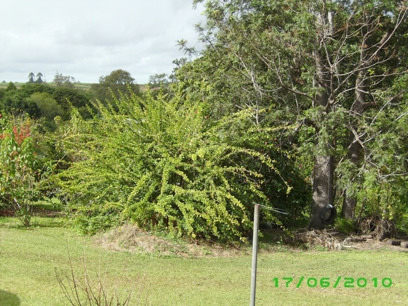 Bauple QLD 4650