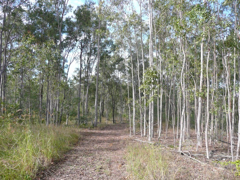 Bauple QLD 4650