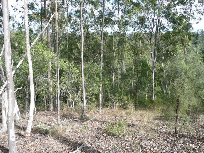 Bauple QLD 4650