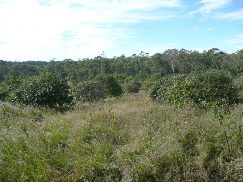 Bauple QLD 4650