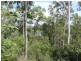 Bauple QLD 4650