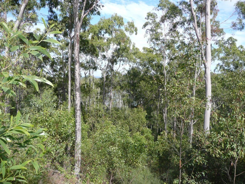 Bauple QLD 4650