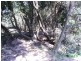 Tiaro QLD 4650