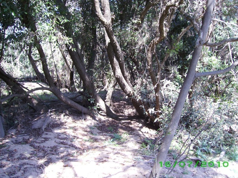 Tiaro QLD 4650