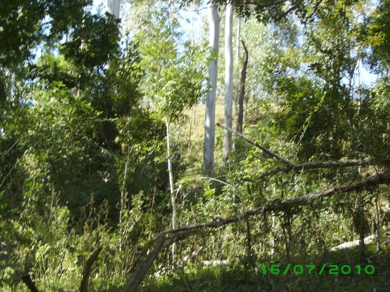 Tiaro QLD 4650