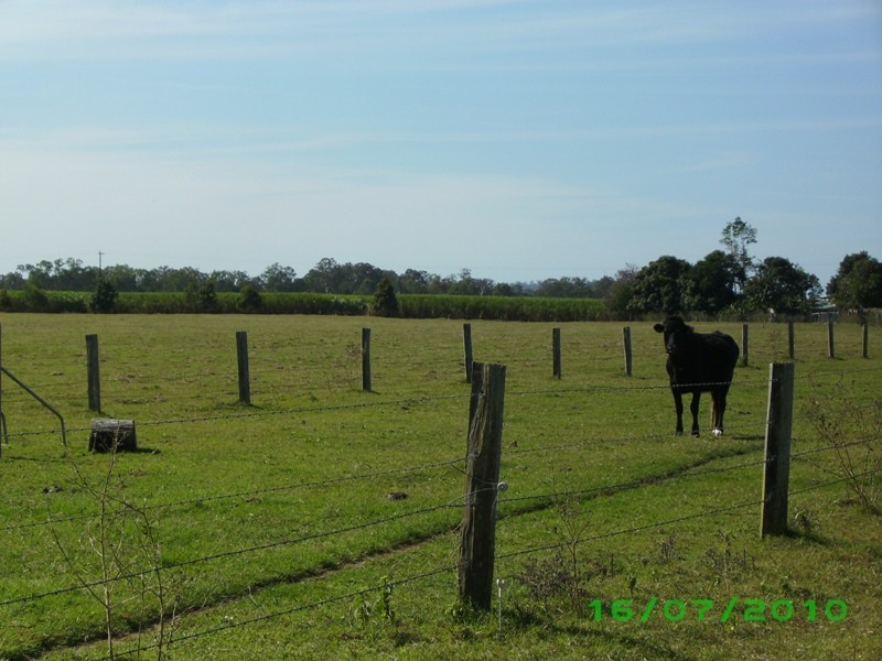 Tiaro QLD 4650