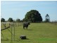 Tiaro QLD 4650