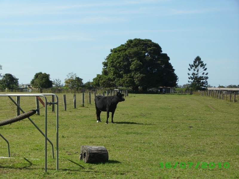 Tiaro QLD 4650