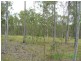 Tiaro QLD 4650