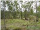 Tiaro QLD 4650