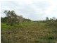 Tiaro QLD 4650