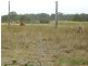 Mungar QLD 4650