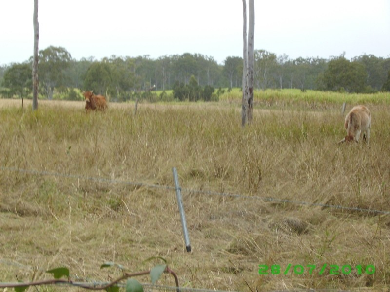 Mungar QLD 4650