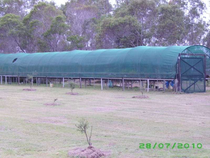 Mungar QLD 4650