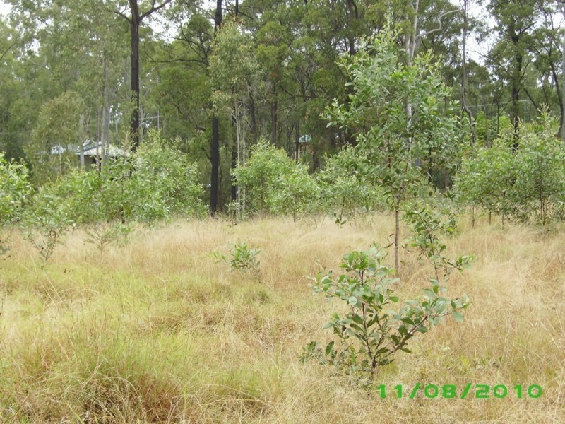 Bauple QLD 4650