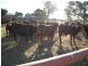 Moffatdale QLD 4605